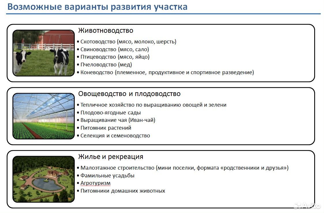 Участки развитие. Виды земельных участков для животноводства. СНТ С назначением земли под скотоводство.