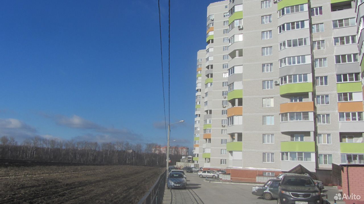 тимирязева,1. улица тимирязева воронеж. лесотехническая академия воронеж. тимирязева г воронеж. тимирязева, 2 воронеж.