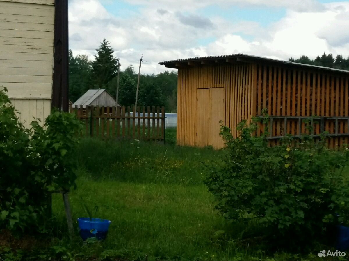 Погода в цвылево тихвинского. Цвылево. Цвылево Ленинградская область. Посёлок цвылёво. Барский дом в поселке цвылёво Тихвинский район.
