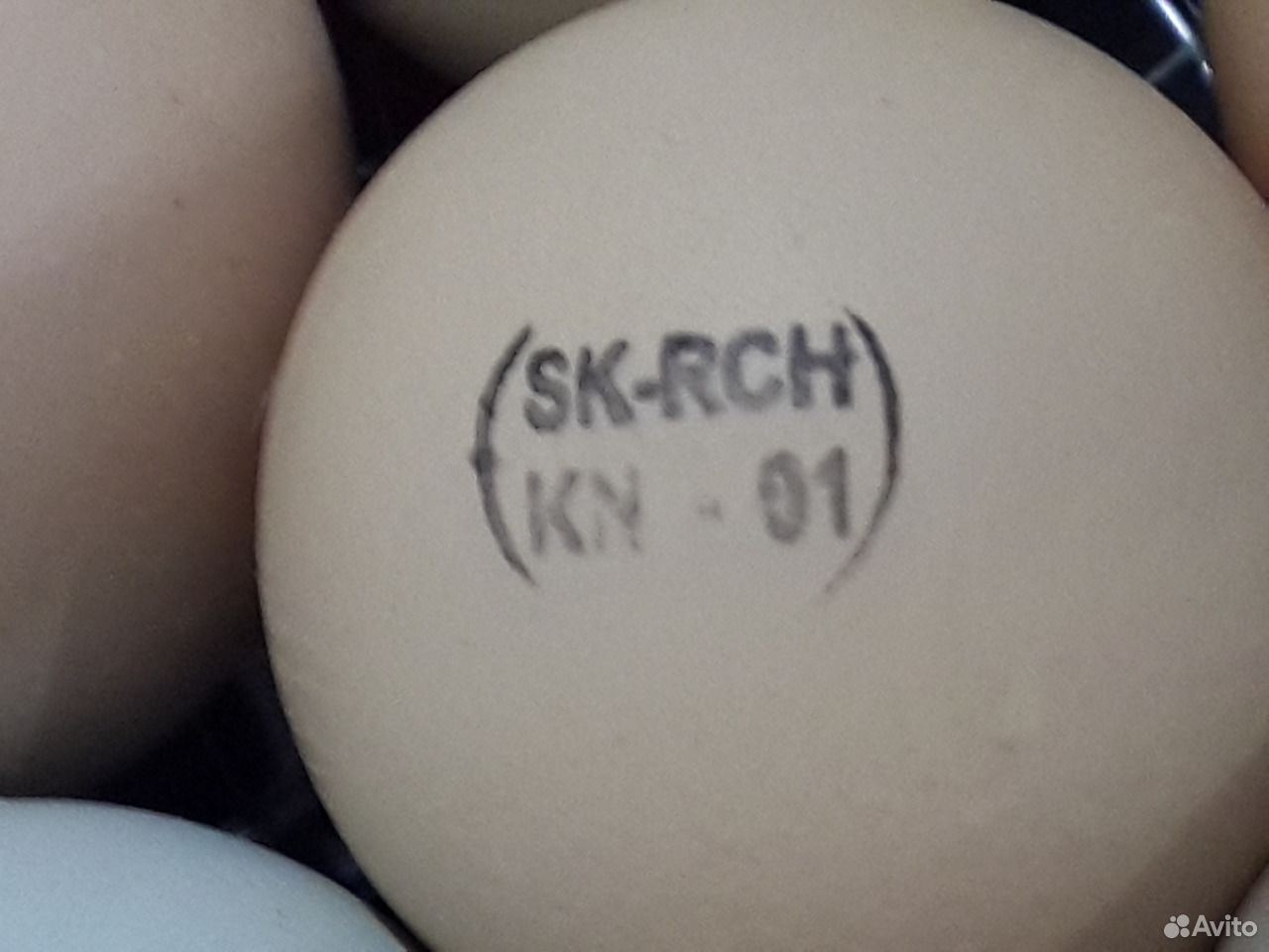 Купить инкубационное яйцо в курской области