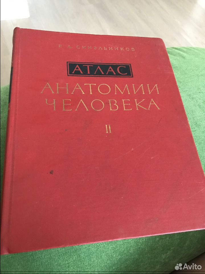 Атлас синельникова анатомия 2 том. Синельников анатомия 2 том.