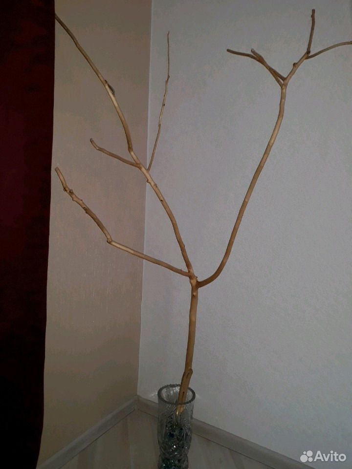 Ствол вишни, б/коры, высота 150 см, покрыт лаком купить на Зозу.ру - фотография № 1