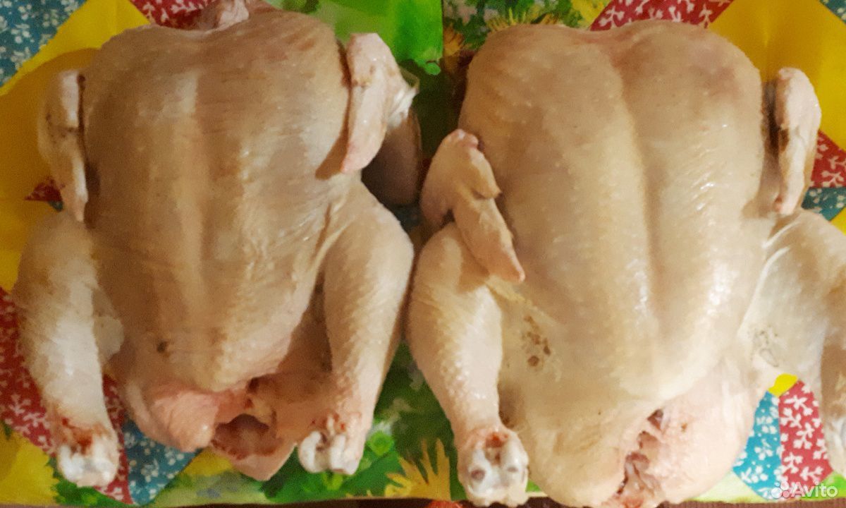 Мясо домашних цыплят -бройлеров, индейка купить на Зозу.ру - фотография № 1