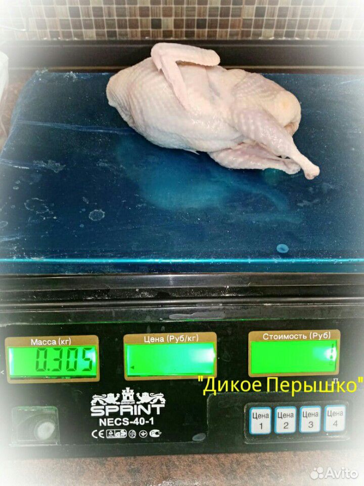 Мясо перепелов (тушки, шашлык, филе и др.) купить на Зозу.ру - фотография № 4