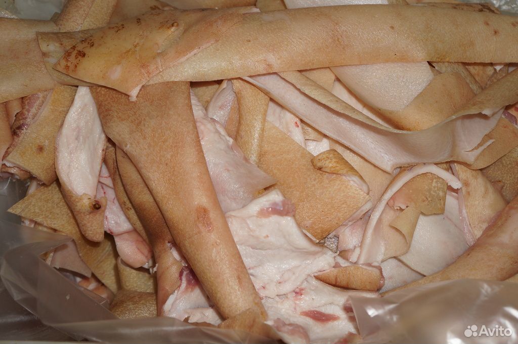 Как выглядит свиная кожа Продаю шкуру свиную купить на Зозу.ру
