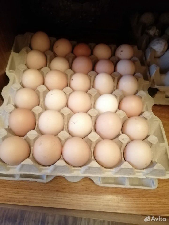 Яйца купить на Зозу.ру - фотография № 4