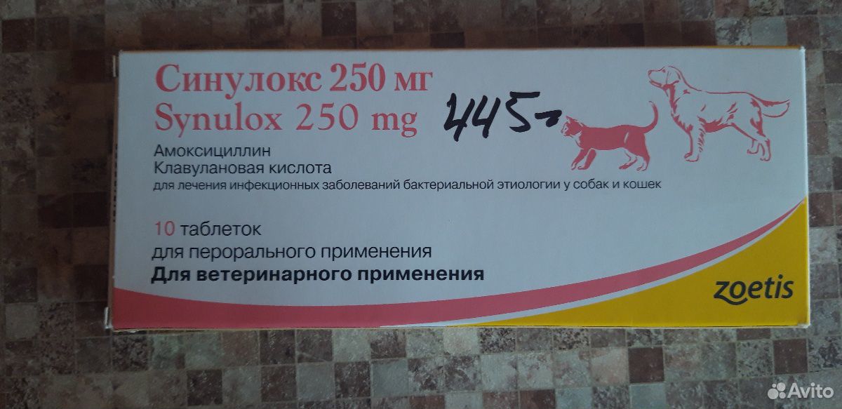 Синулокс для собак 250. Синулокс для кошек 250мг. Аналог синулокс для собак в таблетках. Таблетки для животных синулокс.