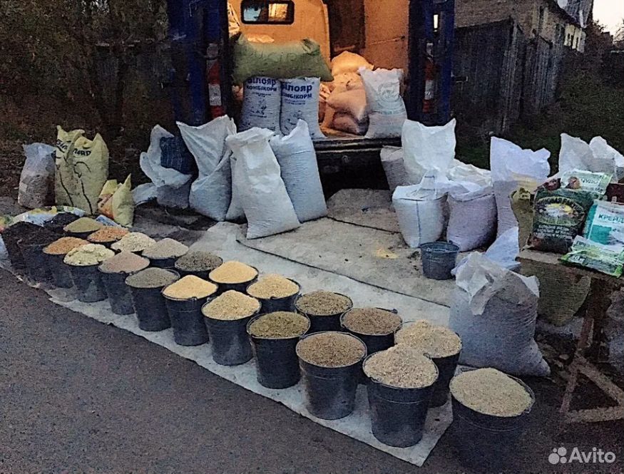 Продам зерно: пшеницу, кукурузу, ячмень, крупы купить на Зозу.ру - фотография № 3