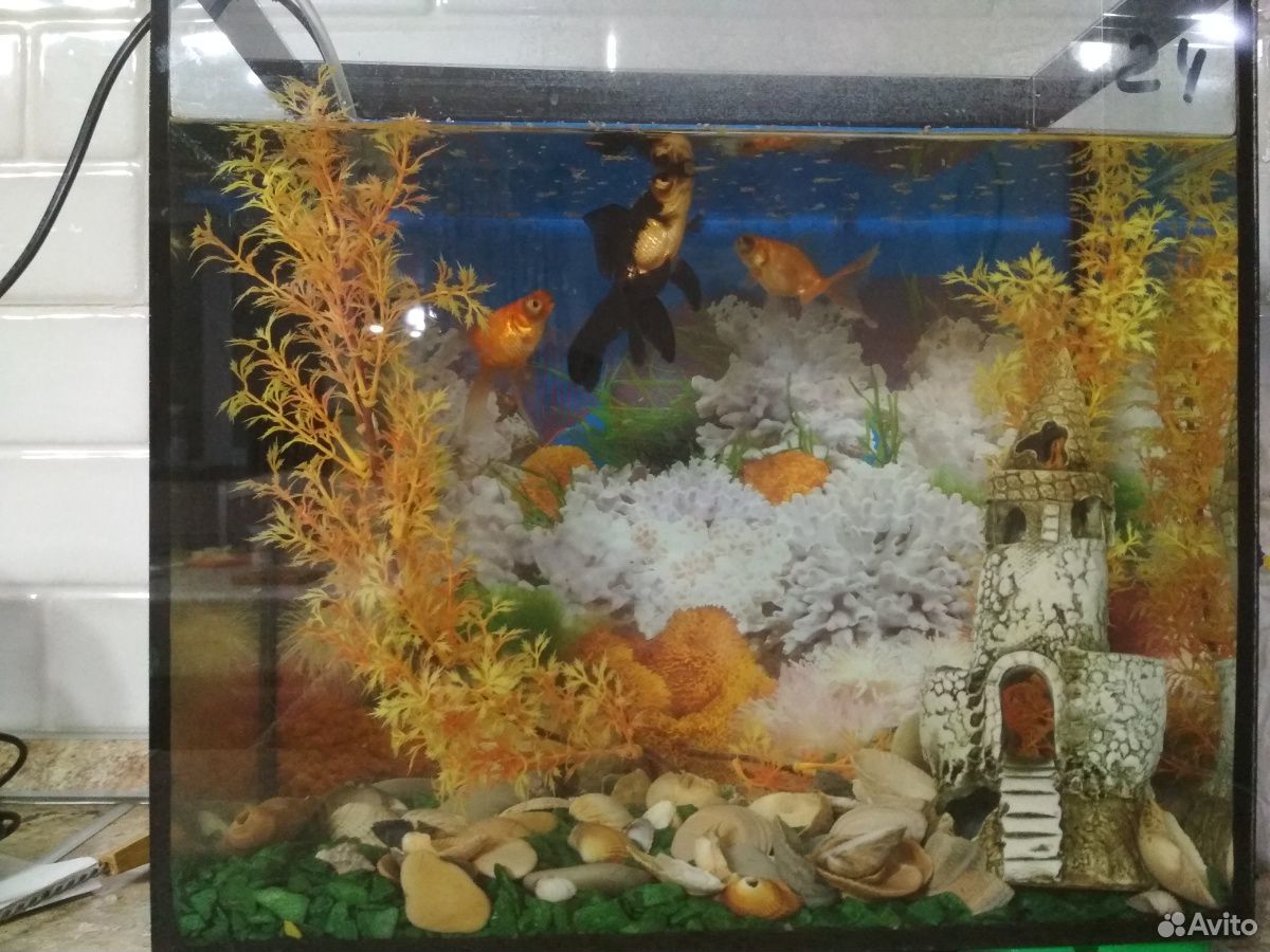 Украшение для аквариума- водоросли, замок, камушки купить на Зозу.ру - фотография № 1