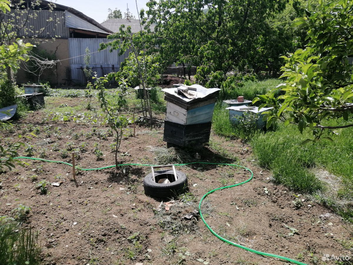Ящики для пчёл купить на Зозу.ру - фотография № 1