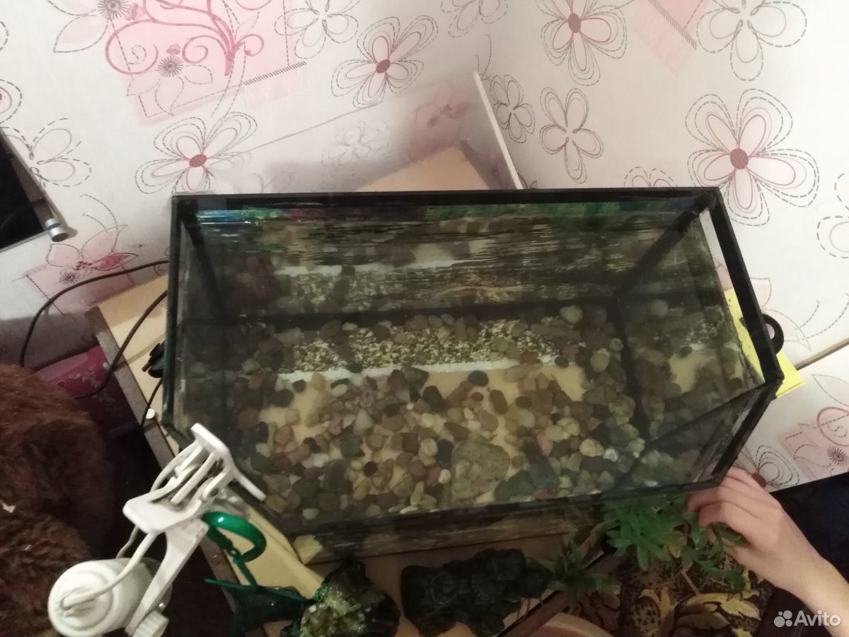 Украшение для аквариума аквариум купить на Зозу.ру - фотография № 2