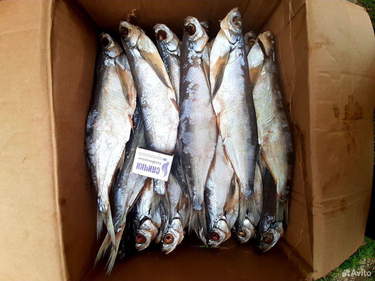 Астраханская вяленая рыба купить на Зозу.ру - фотография № 4