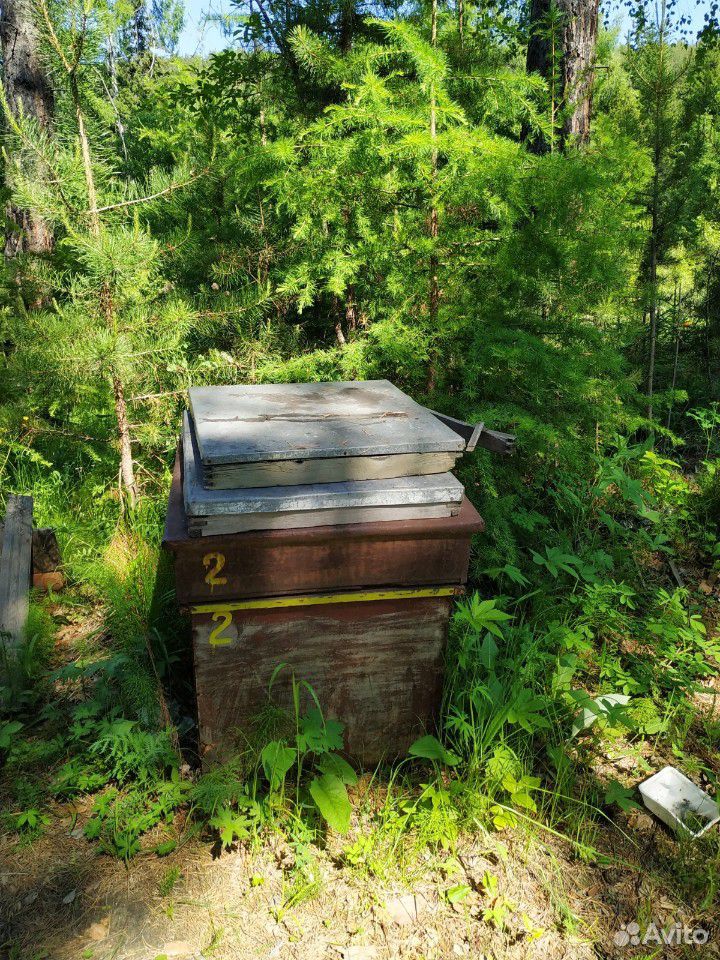 Пчеловодный инвентарь купить на Зозу.ру - фотография № 1