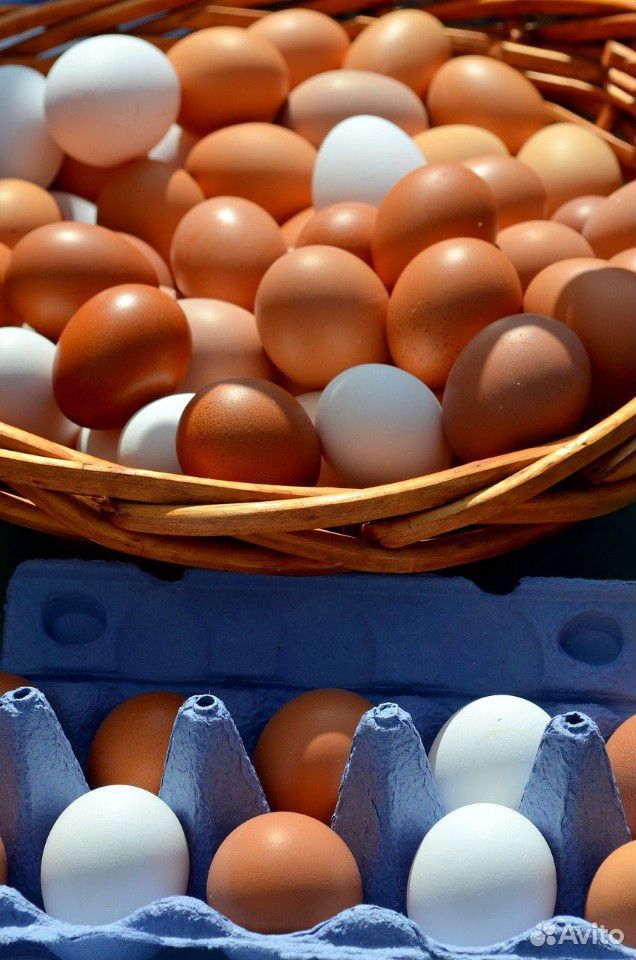 Яйцо перепелиное 20шт,яйцо куриное 10шт купить на Зозу.ру - фотография № 2