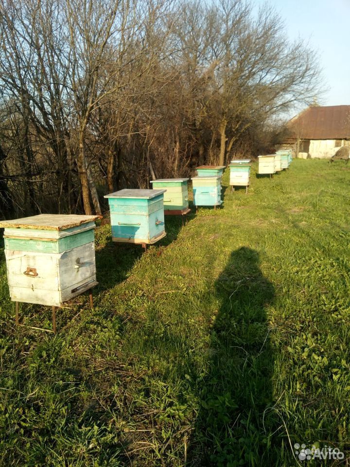 Пчело семи с ульями купить на Зозу.ру - фотография № 1