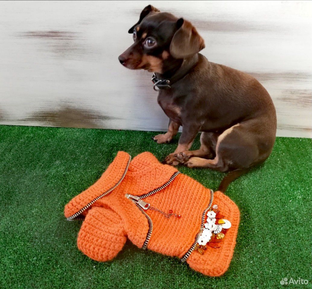 Комбинезон (свитер) для маленьких собак и щенков купить на Зозу.ру - фотография № 1