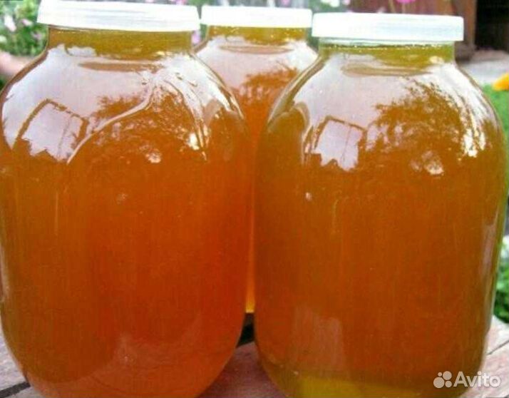 Самый вкусный и полезный мёд 2020 купить на Зозу.ру - фотография № 4