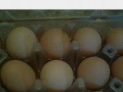 Яйца цецарки