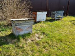 Ульи, улей, ящики для пчёл, рамки для улья