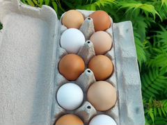 Яйца из деревни (доставка по 9 мкр бесплатно)