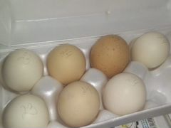 Яйцо инкубационное Кохинхин