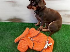 Комбинезон (свитер) для маленьких собак и щенков