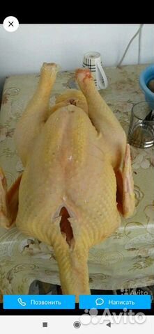 Продукты питания