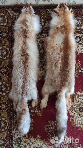 Шкуры лисы