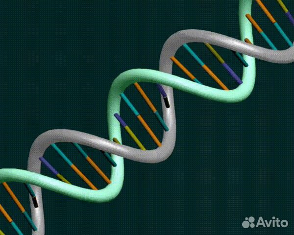 Репетитор по Биологии и Химии