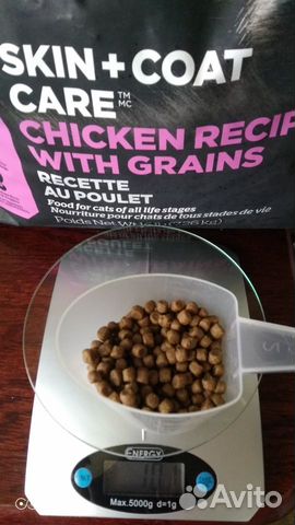 Корм - холистик для кошек и котят