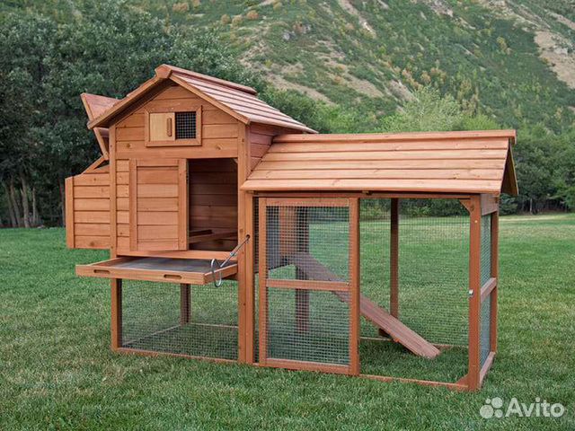 Курятник с выгулом
