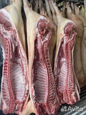 Мясо свинины полтуши,туша,четверть с доставкой