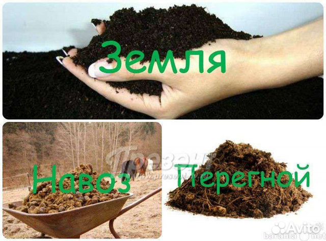 Перегной Навоз Земля