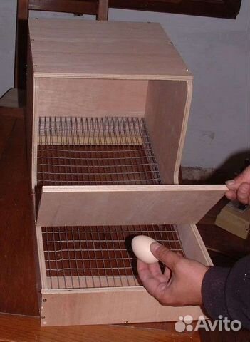 Насест. Гнездо