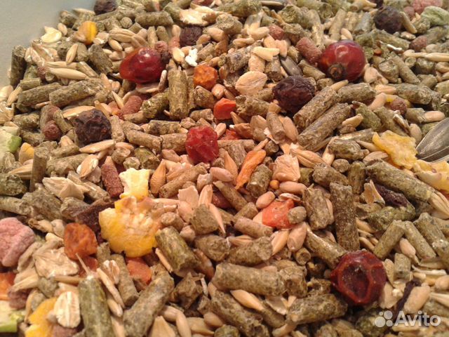 Корма для шиншилл и грызунов: гранулы и микс