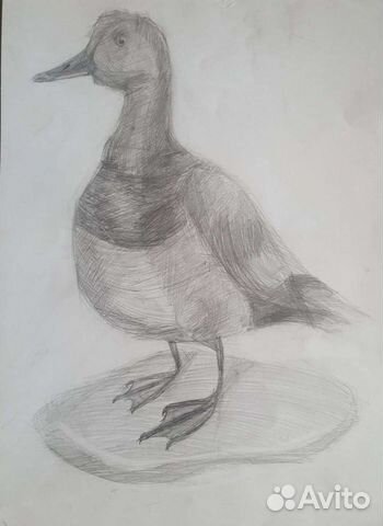 Репетитор Изо,каллиграфия,рисунок,живопись,пленэры