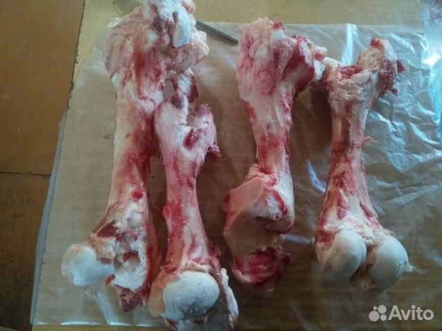 Кости говяжьи