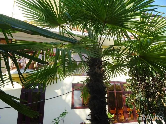

Квартира-студия, 14 м², 2/3 эт.