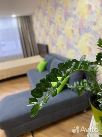 

Квартира-студия, 40 м², 2 кровати