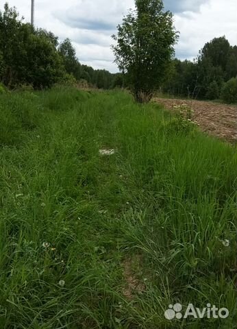 Участок 10 сот. (ИЖС)