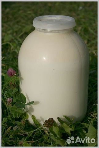Продаю Козье молочко в Толмачево
