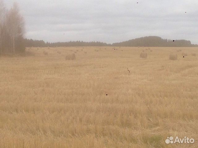 Солома пшеничная в рулоне купить на Зозу.ру - фотография № 3