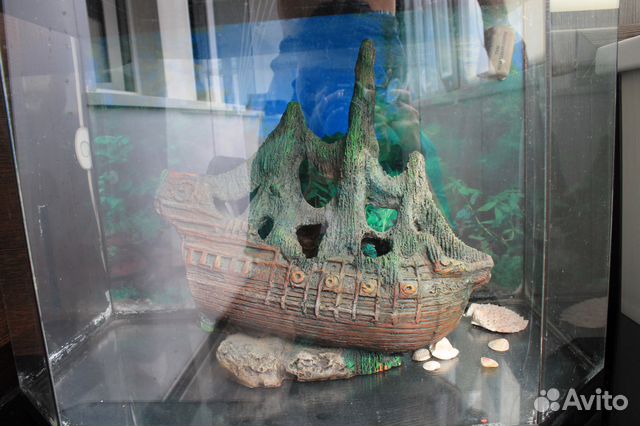 Продам аквариум в хорошем состоянии купить на Зозу.ру - фотография № 3