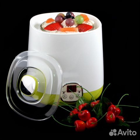 yogurt in yogurt maker