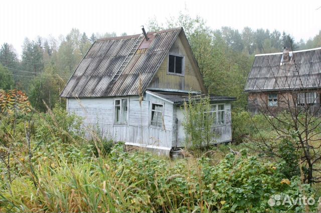 Авито Петрозаводск Недвижимость Дачи Купить