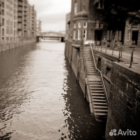 Canon 24 t-se 3.5 (tilt-shift) Canon 24 t-se 3.5 (tilt-shift)