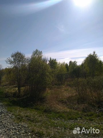 Участок 10 сот. (СНТ, ДНП)