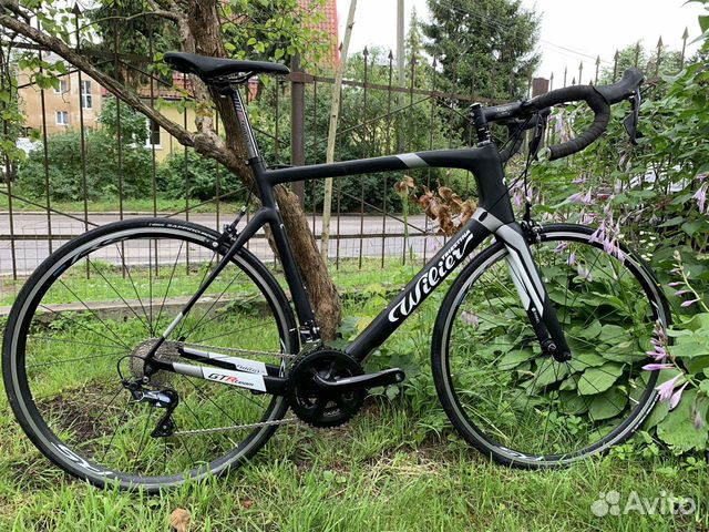 wilier gtr 2019