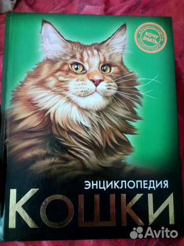 Энциклопедия о кошках 
