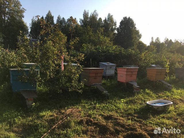 Домики с пчёлами купить на Зозу.ру - фотография № 2